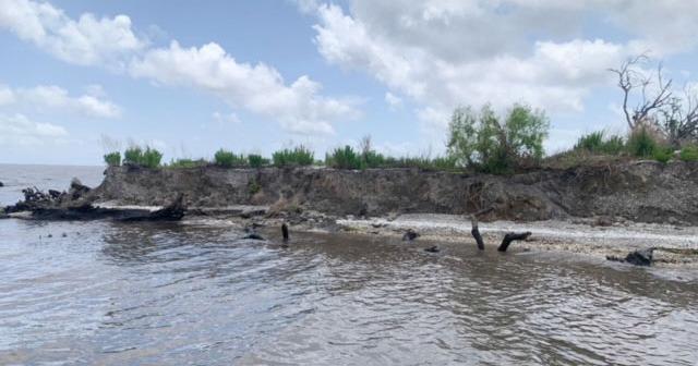 One of several Native American historical middens on the shore of Lake Salvador near Lafitte, La.