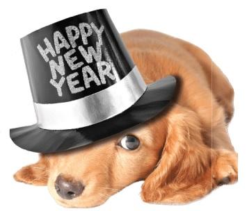 Ring in the New Year Safely with Your Pets