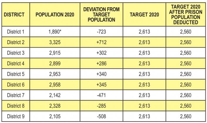 2020 Population Statistics