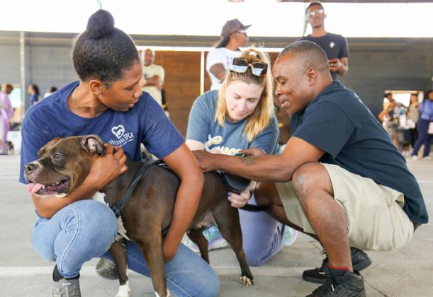 LASPCA Plaquemines Parish Vaccination Drive