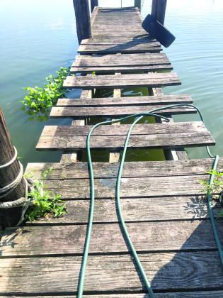 “Can we get any help? This been like this for years,” said Eastbank resident Keslyn Williams on a public Facebook group’s page called Plaquemines Parish Informative Hot Topics. “Every month, we pay. The grass is high and the docks are not safe.”