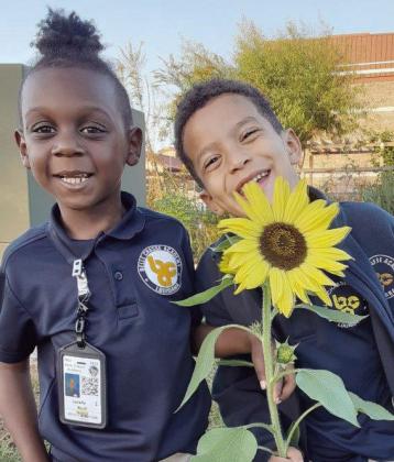 Belle Chasse Academy students Lavelle Bush and Joshua Castillo grow sunflowers that are bigger than a kindergartener at BCA.
