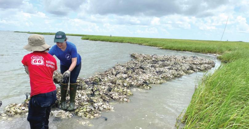 Phillips 66 Alliance Refinery Corrosion Engineer Kristen Hannukainen helps construct an oyster barrier reef with CRCL staff off the coast of Southeast Louisiana on July 16.