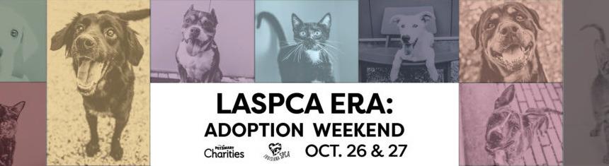 PetSmart Charities National Adoption Weekend