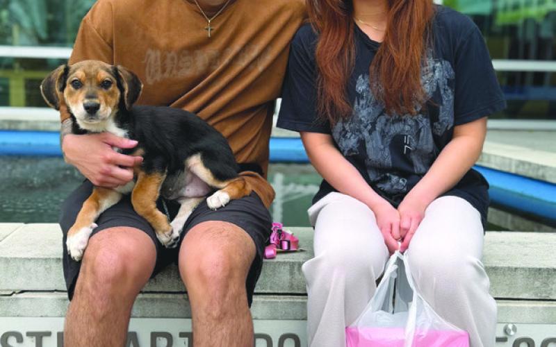 Start Your Summer with a New Furry Best Friend