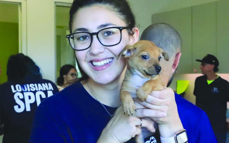 Why Pet Vaccinations Matter for Your Pet and Your Community