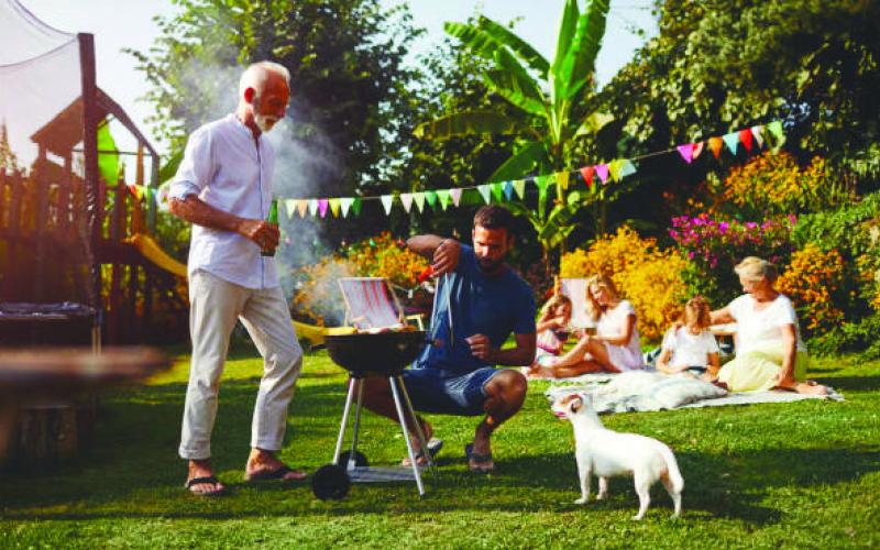Keeping Pets Safe and Stress-Free During Summer Gatherings