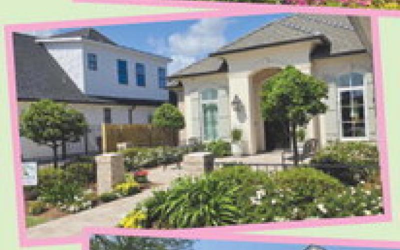 Belle Chasse Garden Club's Gardens of the Monththe