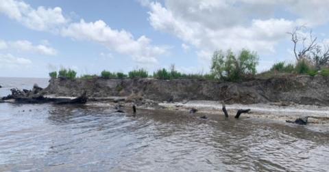 One of several Native American historical middens on the shore of Lake Salvador near Lafitte, La.