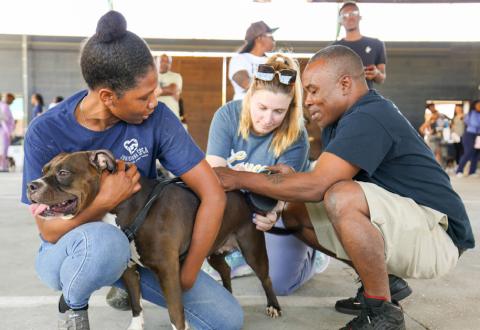 LASPCA Plaquemines Parish Vaccination Drive