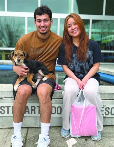 Start Your Summer with a New Furry Best Friend
