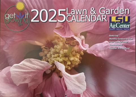 Belle Chasse resident, Glenda Balliviero's, cover photo on LSU AgCenter's 2025 Get It Growing Calendar showcases a delicate pink Confederate rose flower with its soft, enchanting hues and large, showy blooms. The calendar also includes monthly tips, gardening terms, Louisiana zone map, guide to gardening resources, special section on LSU AgCenter programs for home gardeners and Louisiana Super Plants.