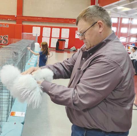 4-H Livestock Show Displays Youth Knowledge of Raising Poultry