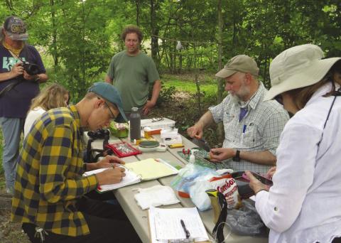 Wings Over Wetlands Project Made Possible By Entergy