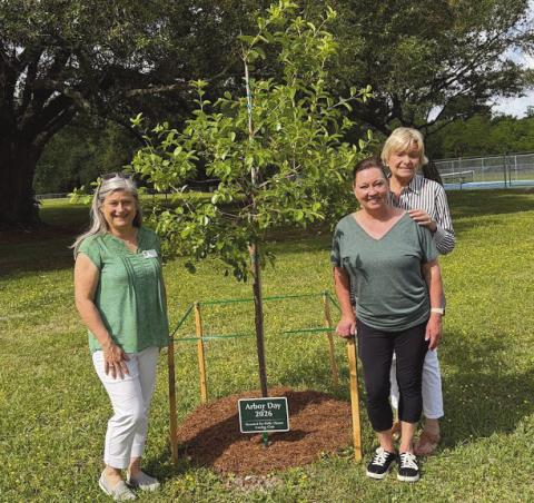 Belle Chasse Garden Club Marks Arbor Day With Tree Dedication