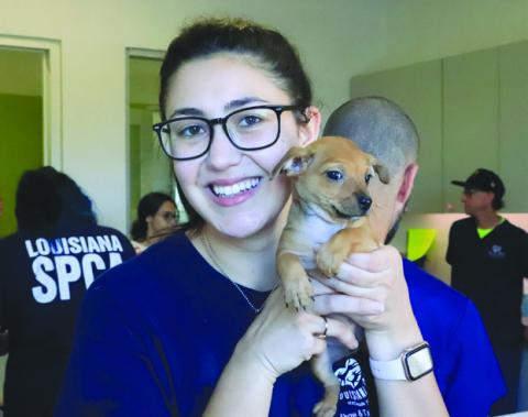 Why Pet Vaccinations Matter for Your Pet and Your Community