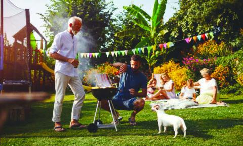 Keeping Pets Safe and Stress-Free During Summer Gatherings