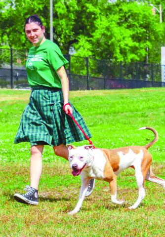 Walk Your Pet Month