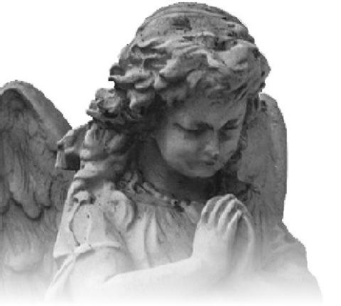 Alt Text for Image