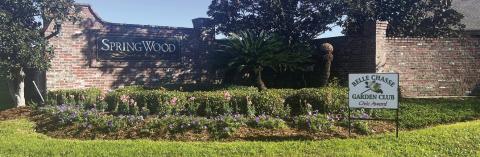 Civic: Springwood Estates