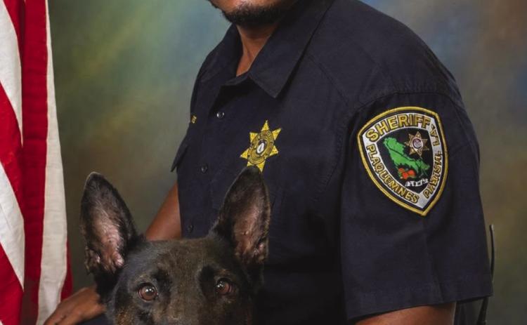 Sheriff Jerry Turlich and PPSO welcomes K9 Buddha to the PPSO Family. K9 Buddha is a three-year-old Dutch Shepherd that was officially commissioned this morning as a PPSO Deputy Sheriff. K9 Buddha is partnered with Lieutenant Joseph Francis and is trained in tracking, narcotics, item detection and apprehension. During this photo session, the department confi rmed that K9 Buddha is enthusiastic and eager to serve the community! Welcome to Plaquemines Parish, K9 Deputy Buddha!