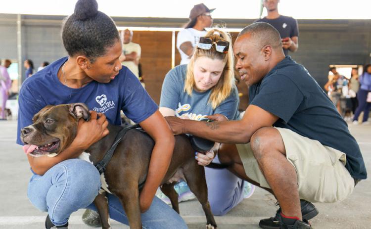 LASPCA Plaquemines Parish Vaccination Drive