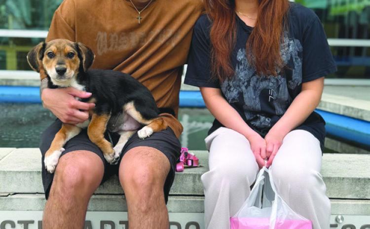 Start Your Summer with a New Furry Best Friend