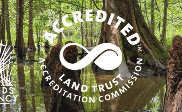 Woodlands Conservancy Earns National Recognition