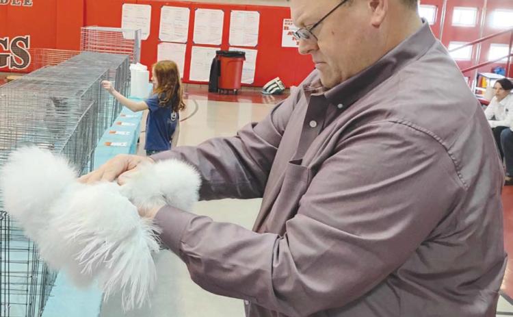 4-H Livestock Show Displays Youth Knowledge of Raising Poultry