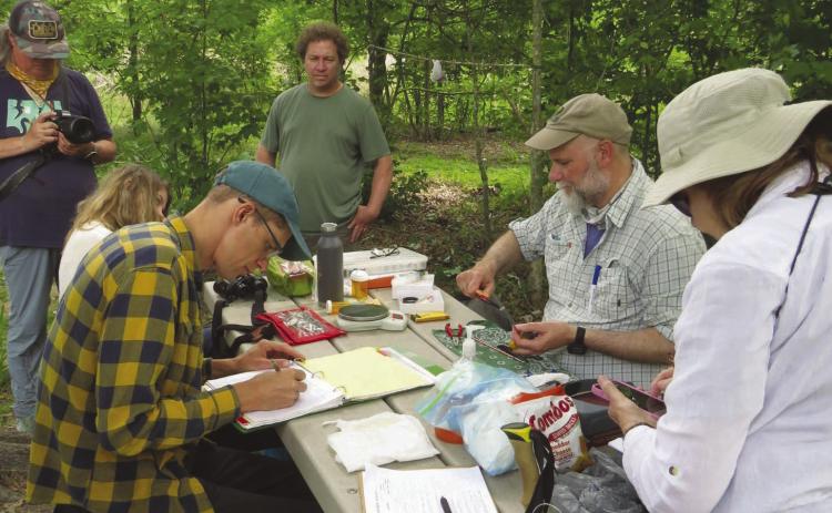 Wings Over Wetlands Project Made Possible By Entergy