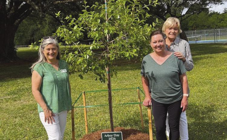 Belle Chasse Garden Club Marks Arbor Day With Tree Dedication