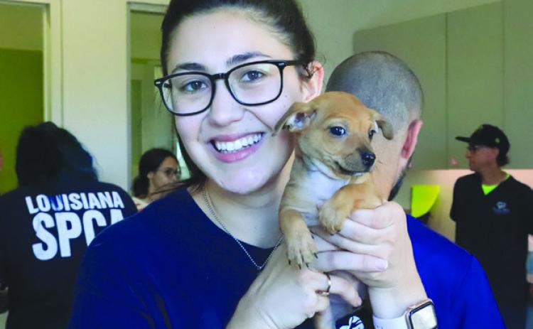 Why Pet Vaccinations Matter for Your Pet and Your Community