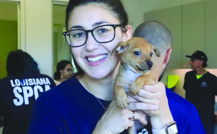 Why Pet Vaccinations Matter for Your Pet and Your Community