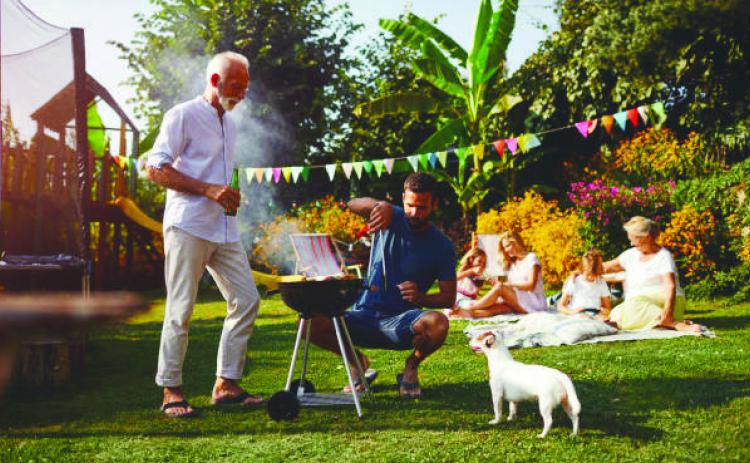 Keeping Pets Safe and Stress-Free During Summer Gatherings