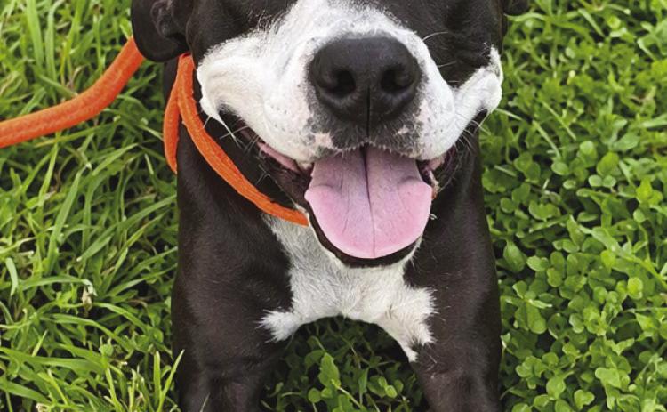 Zoe (ID: A0061584601)