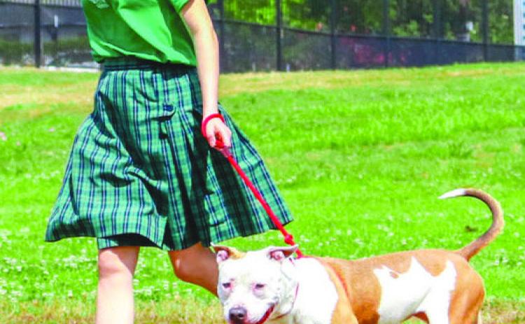 Walk Your Pet Month