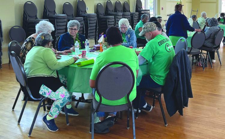 Belle Chasse Rotary Club Hosts Council On Aging Bingo Luncheon