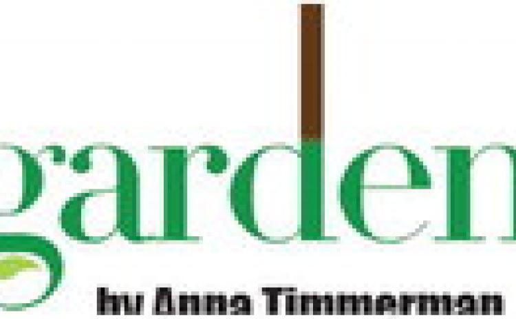Alt Text for Image